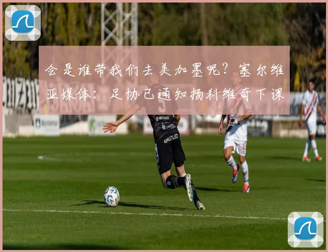 会是谁带我们去美加墨呢？塞尔维亚媒体：足协已通知扬科维奇下课