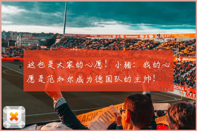 这也是大家的心愿！小猪：我的心愿是范加尔成为德国队的主帅！